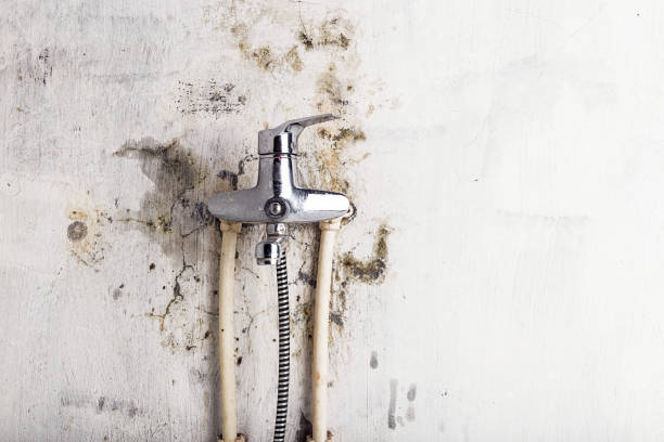 Best HVAC Mold Remediation in Aledo, IL