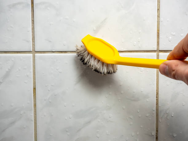 Best Insurance-Related Mold Remediation in Aledo, IL
